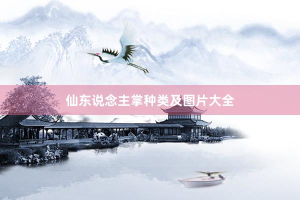 仙东说念主掌种类及图片大全