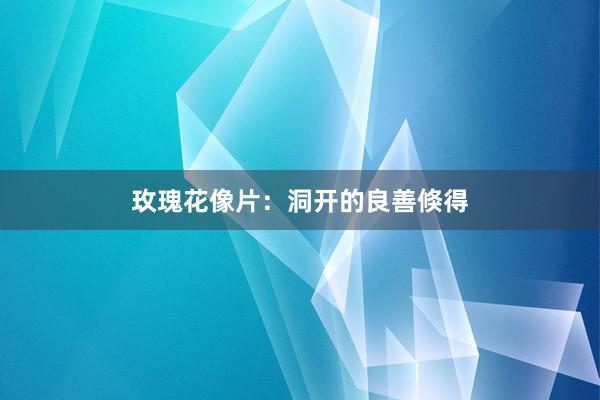 玫瑰花像片：洞开的良善倏得