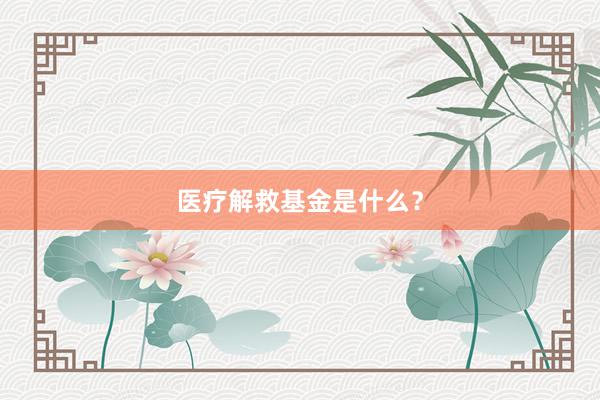 医疗解救基金是什么？