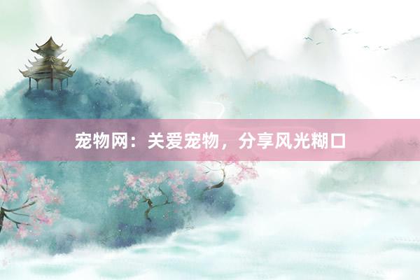 宠物网：关爱宠物，分享风光糊口