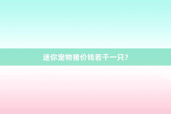 迷你宠物猪价钱若干一只？