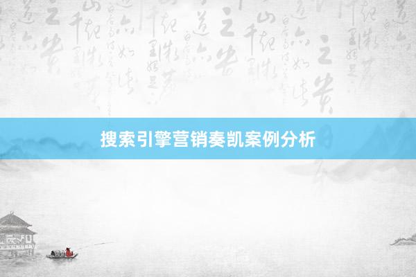 搜索引擎营销奏凯案例分析